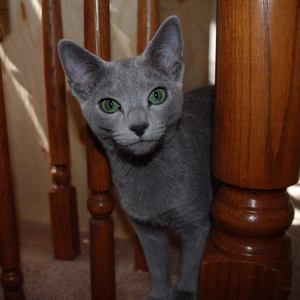 Meet your Posher, Kathryn